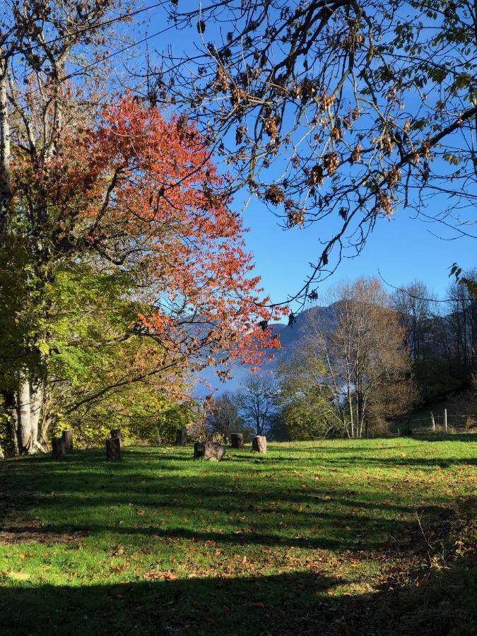 Chapamama Bed & Breakfast Aillon-le-Vieux ภายนอก รูปภาพ
